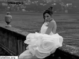 Sites similar to tommoks.com