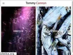 Sites similar to tommycannon.com