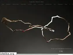 Sites similar to tomokoabe.com