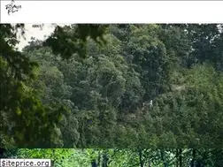 Sites similar to tomospit.com