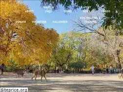 Sites similar to tompkinssquaredogrun.com