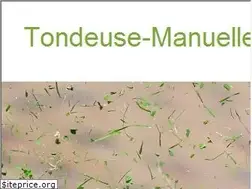 Sites similar to tondeuse-manuelle.com