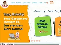 Sites similar to tongucakademi.com