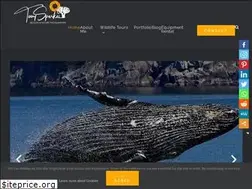Sites similar to tonysparkes.com