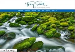 Sites similar to tonysweet.com