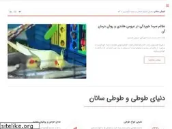Sites similar to tootisanan.com