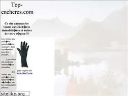 Sites similar to top-encheres.com
