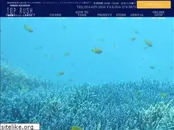 Sites similar to top-rush.com