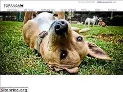 Sites similar to topangapetresort.com