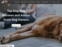 Sites similar to topdoghub.com