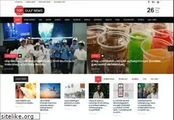 Sites similar to topgulfnews.com