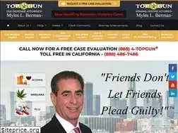 Sites similar to topgundui.com