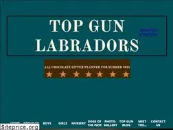 Sites similar to topgunlabs.com