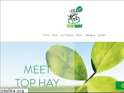 Sites similar to tophayexport.com