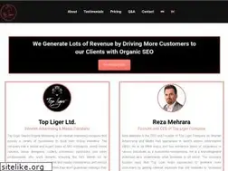 Sites similar to topliger.com
