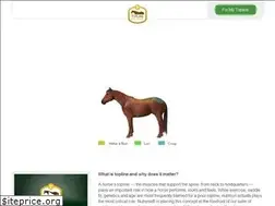 Sites similar to toplinebalance.com