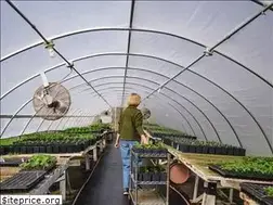Sites similar to topmostherbfarm.com