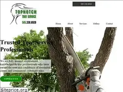 Sites similar to topnotchrochester.com