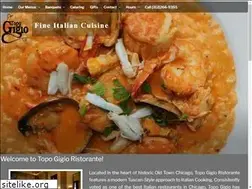 Sites similar to topogigiochicago.com