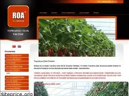 Sites similar to topraksizcilek.com