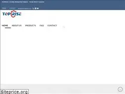 Sites similar to toprisesafety.com