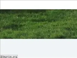 Sites similar to topskladovehaly.cz