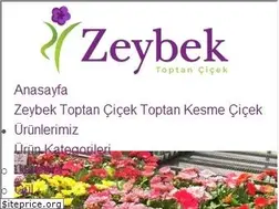 Sites similar to toptancicekal.com