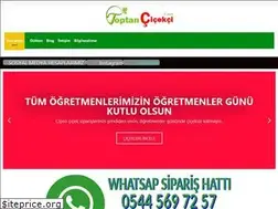 Sites similar to toptancicekci.com