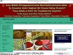 Sites similar to toptankoyurunleri.wordpress.com