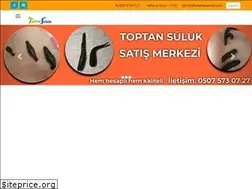 Sites similar to toptansuluk.com