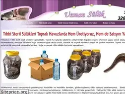 Sites similar to toptantibbisuluksatisi.name.tr