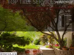 Sites similar to toptreellc.com