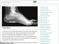 Sites similar to topukdikeni.gen.tr