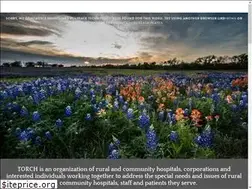 Sites similar to torchnet.org