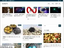 Sites similar to torepikulog.com