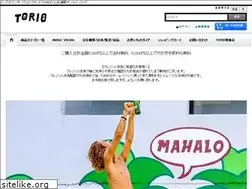 Sites similar to torio.biz