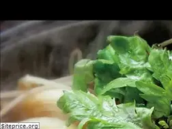 Sites similar to toriya.jp