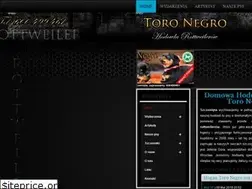 Sites similar to toronegro.pl