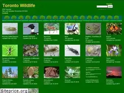Sites similar to toronto-wildlife.com