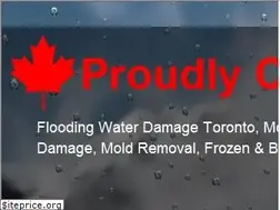 Sites similar to torontoflooding.ca