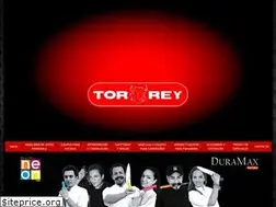 Sites similar to torreyqueretaro.com