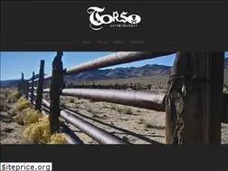 Sites similar to torsoentertainment.com