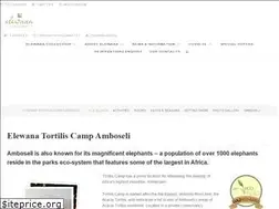 Sites similar to tortiliscamp.com