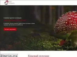 Sites similar to tortlanika.ru