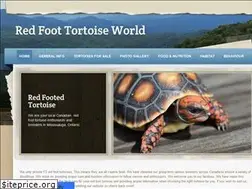 Sites similar to tortoiselove.weebly.com