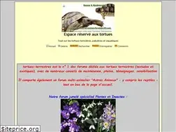 Sites similar to tortues-terrestres.forumactif.com