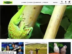 Sites similar to tortuga-petshop.com