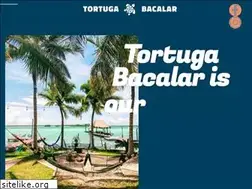 Sites similar to tortugabacalar.com