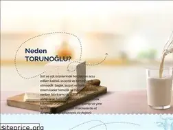 Sites similar to torunoglu.com.tr