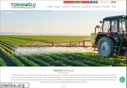 Sites similar to torunoglutohum.com